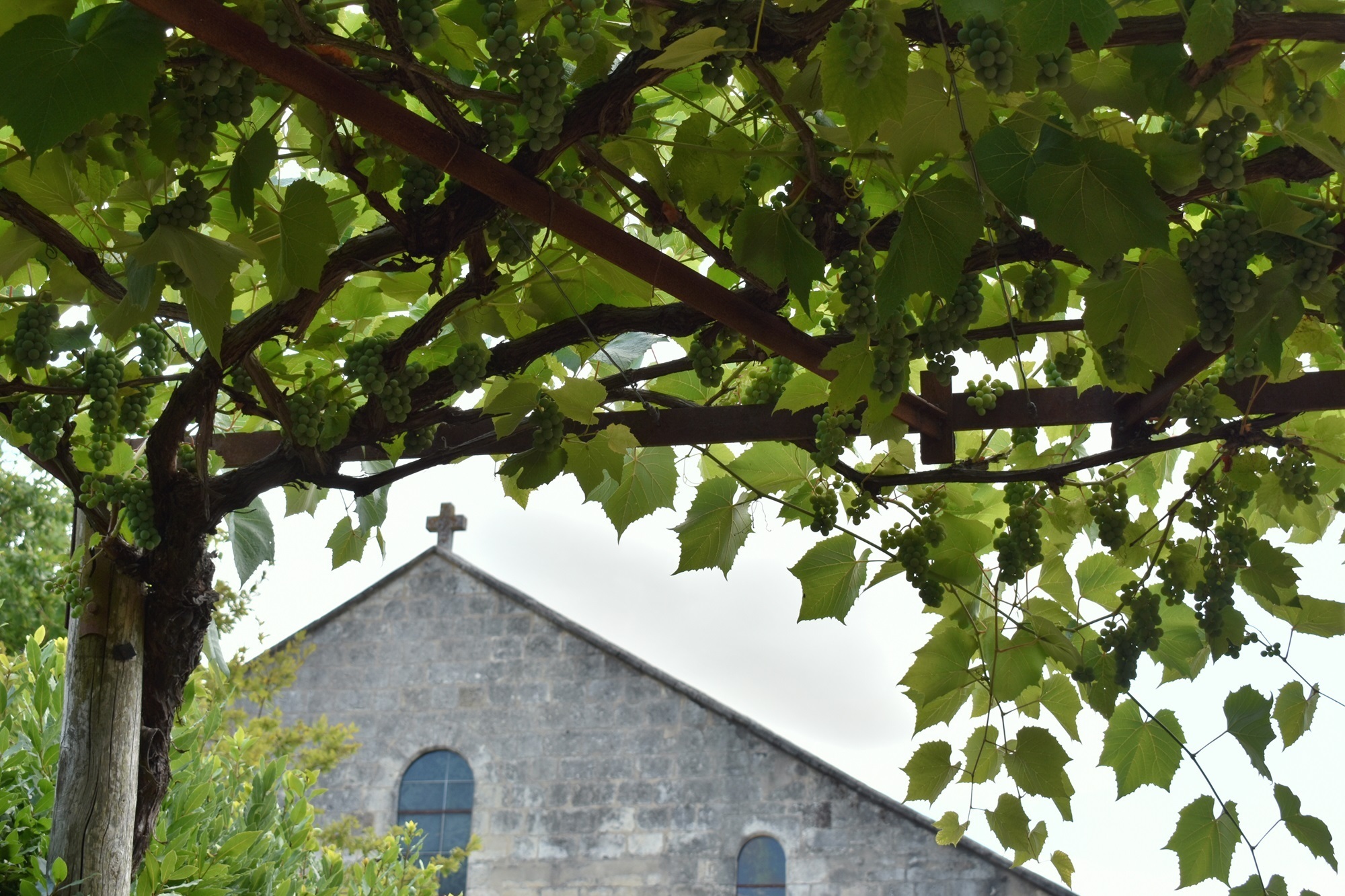 Conférence : "Viticulture en Saintonge pendant l'époque romaine"