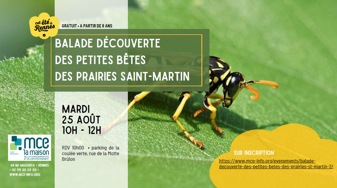 Balade découverte des petites bêtes des prairies Saint-Martin