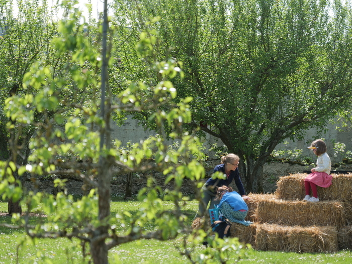 L'agriculture de demain, quel avenir dans nos assiettes ?