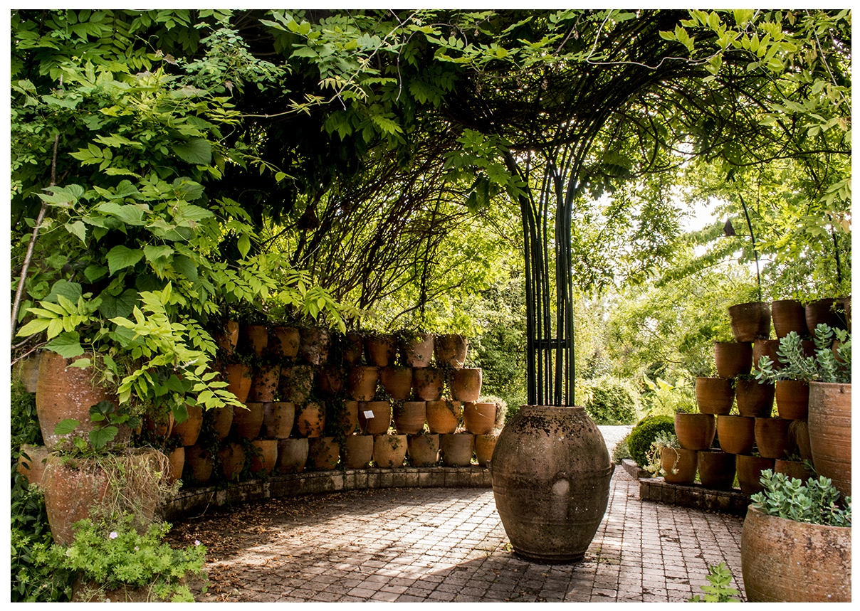 Visite libre du jardin botanique de Marnay-sur-Seine