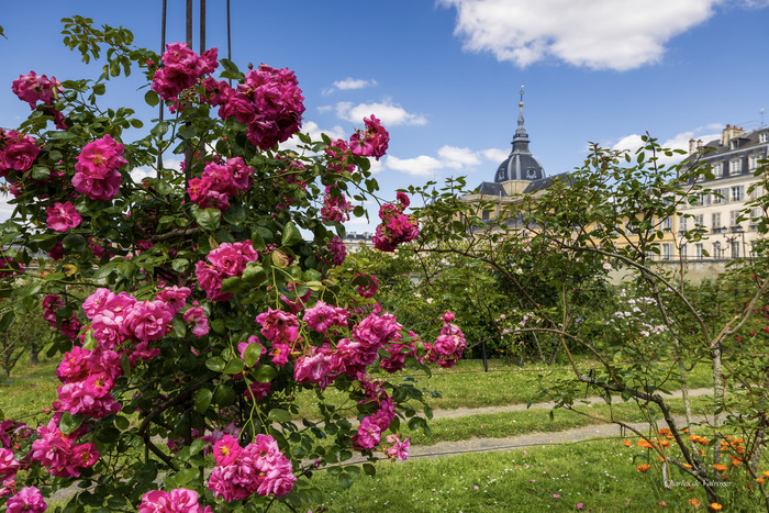 Le Potager du Roi réouvre ses portes au printemps