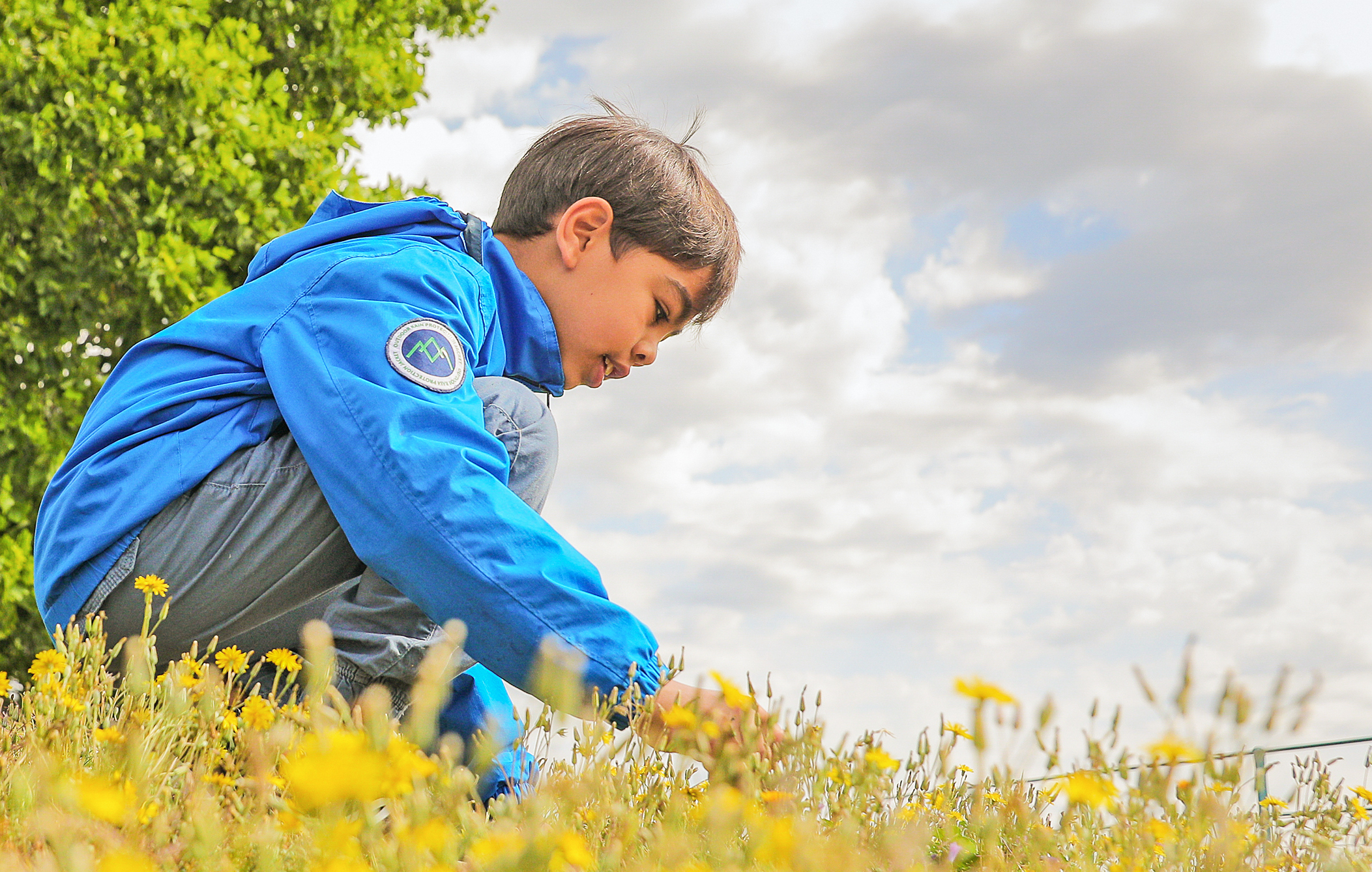 Découverte de la biodiversité
