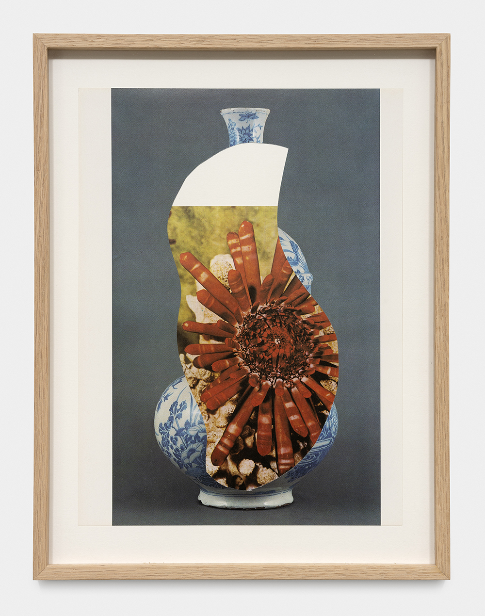 "Sels de terre et grains d'argent. Céramique et photographie"