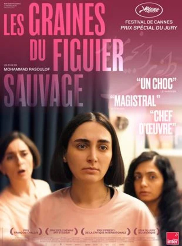 LES GRAINES DU FIGUIER SAUVAGE