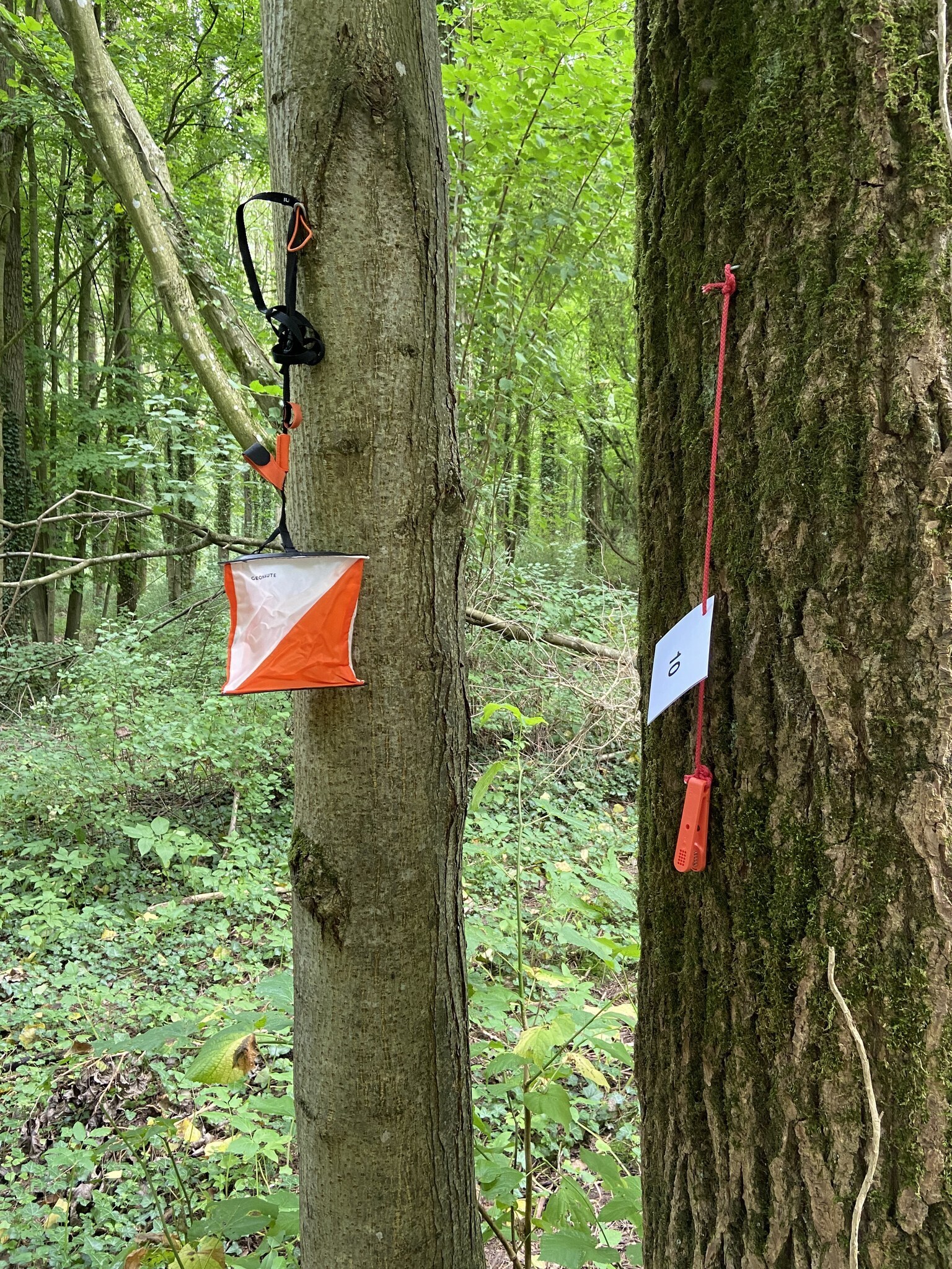 Parcours d'Orientation dans le parc du château