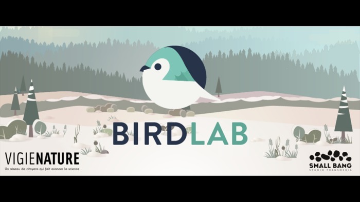 Birblab, l