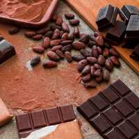 Atelier scientifique Kurionautes : Chocolat