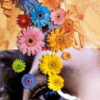 Exposition: " Sublime"