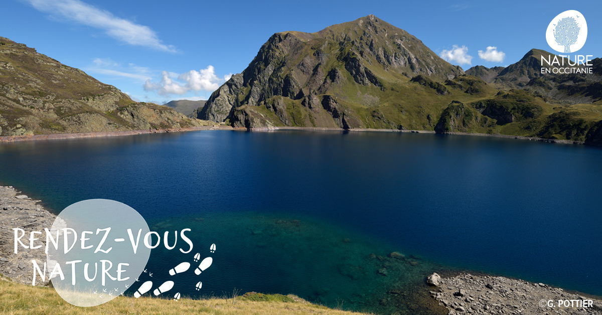 Biodiversité montagnarde : endémisme pyrénéen et Cie