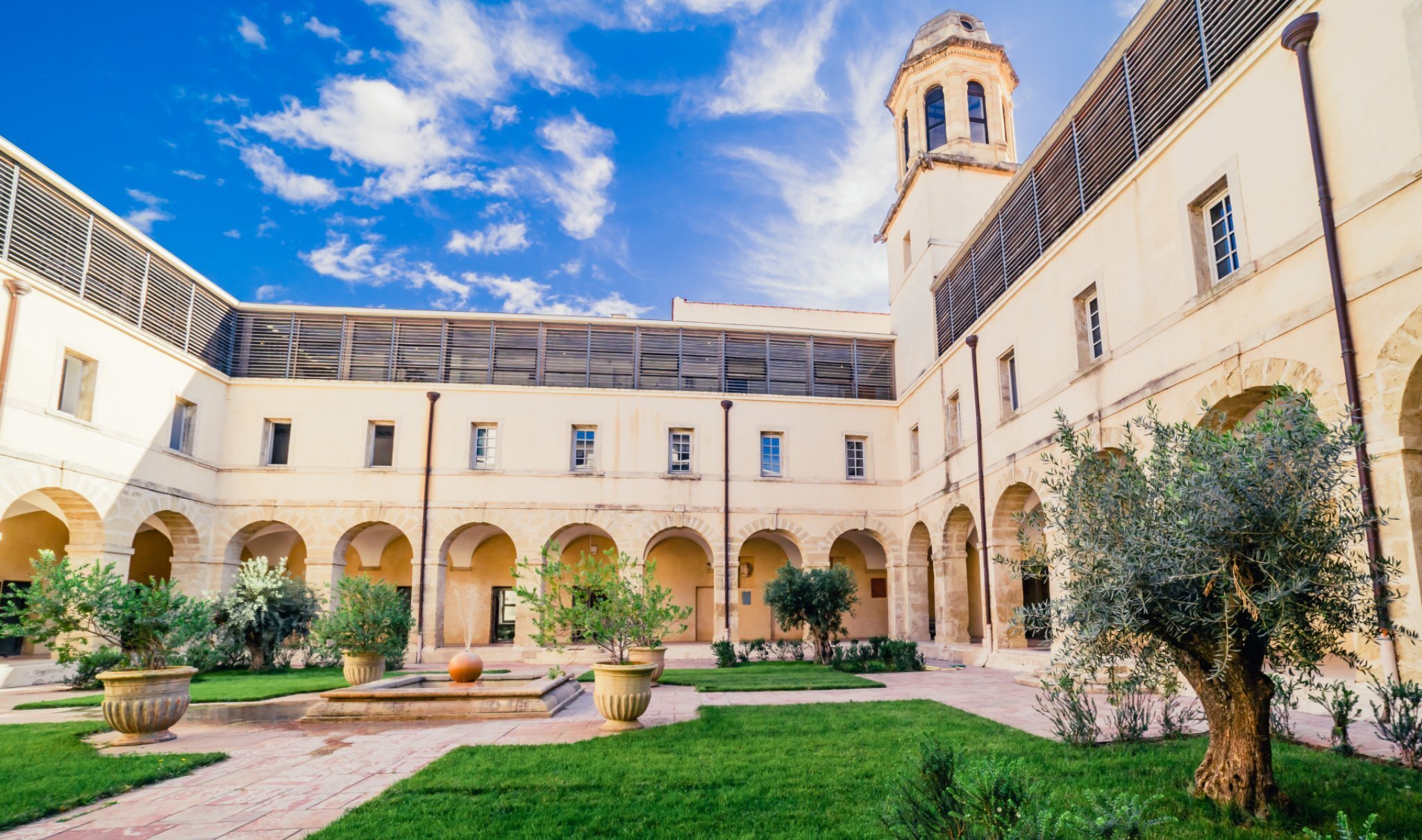 Visite guidée de la faculté de droit de Montpellier