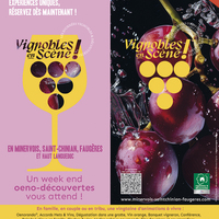 Vignobles en scène - Découverte du métier de vigneron
