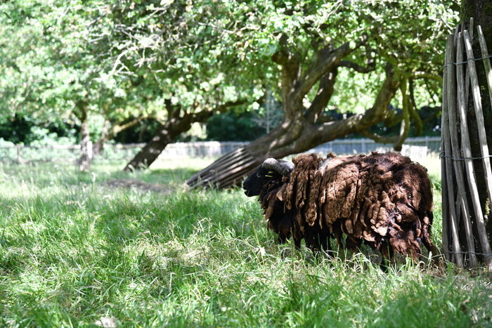 La nature en tout sens (3-6 ans)