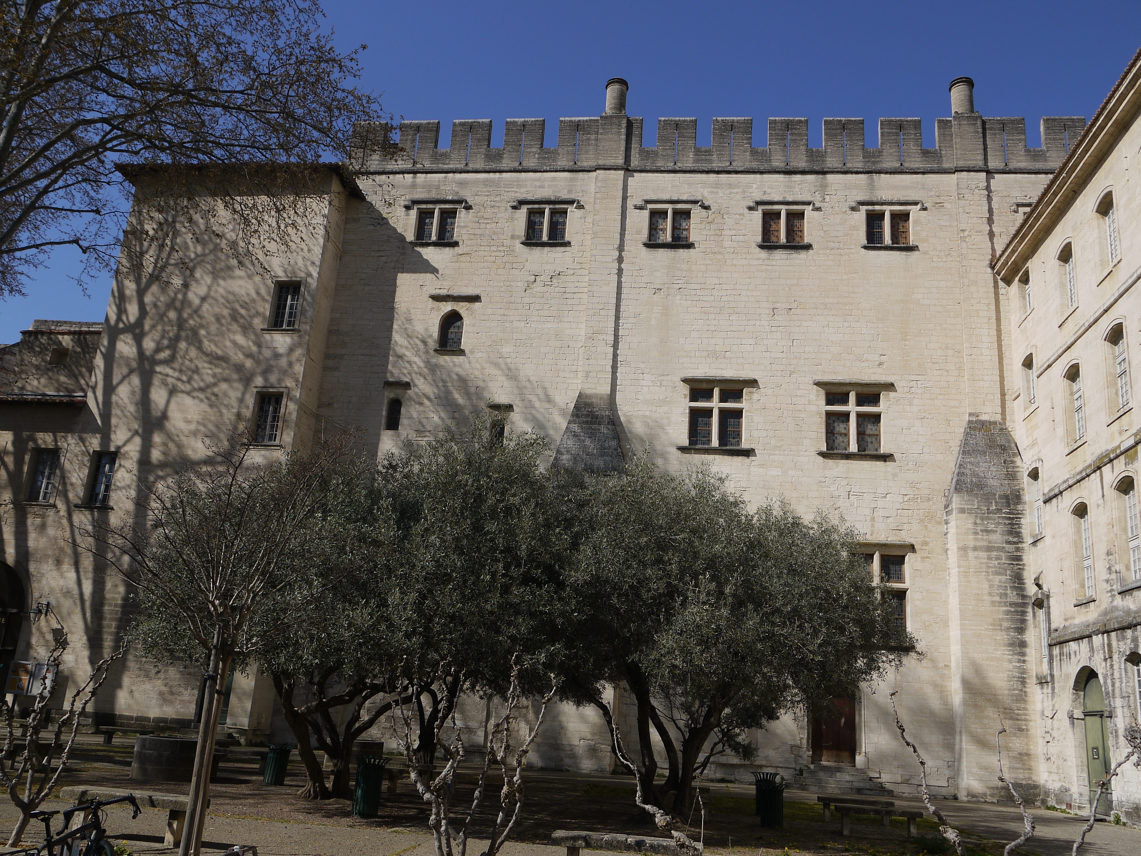 Défi autour du Patrimoine à la Bibliothèque Ceccano