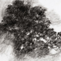 Exposition au Domaine La Dournie