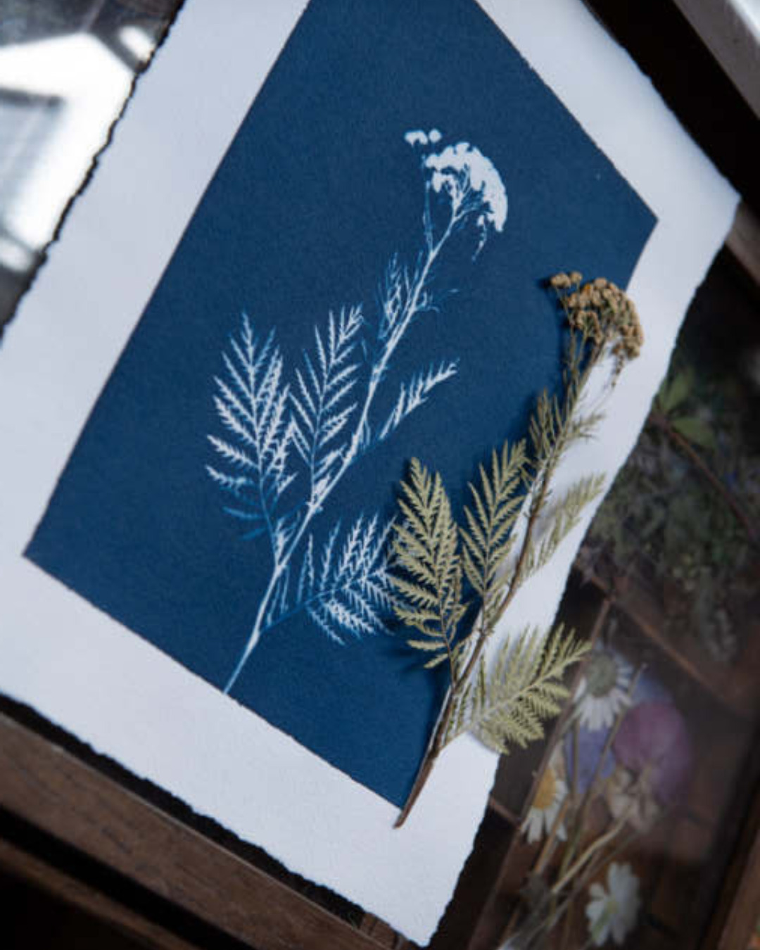 Atelier Cyanotype