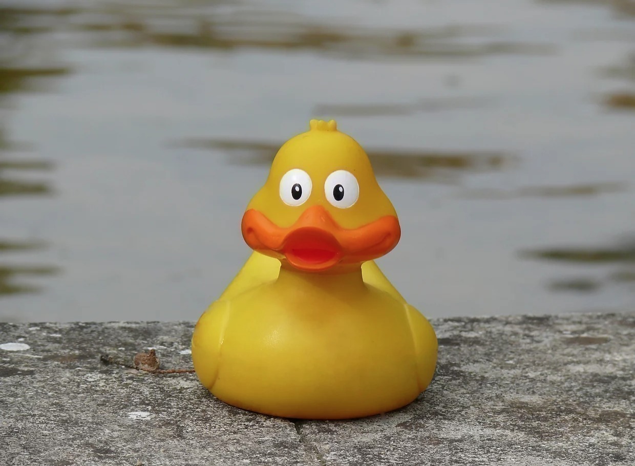 À la recherche des canards perdus - cartographie 1