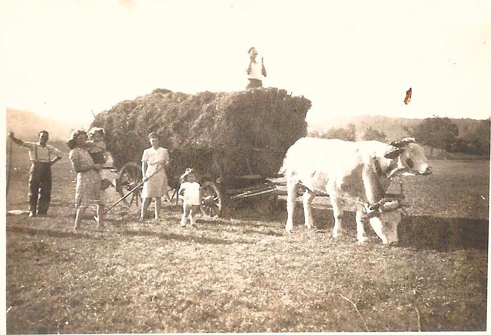 Histoire de la ferme