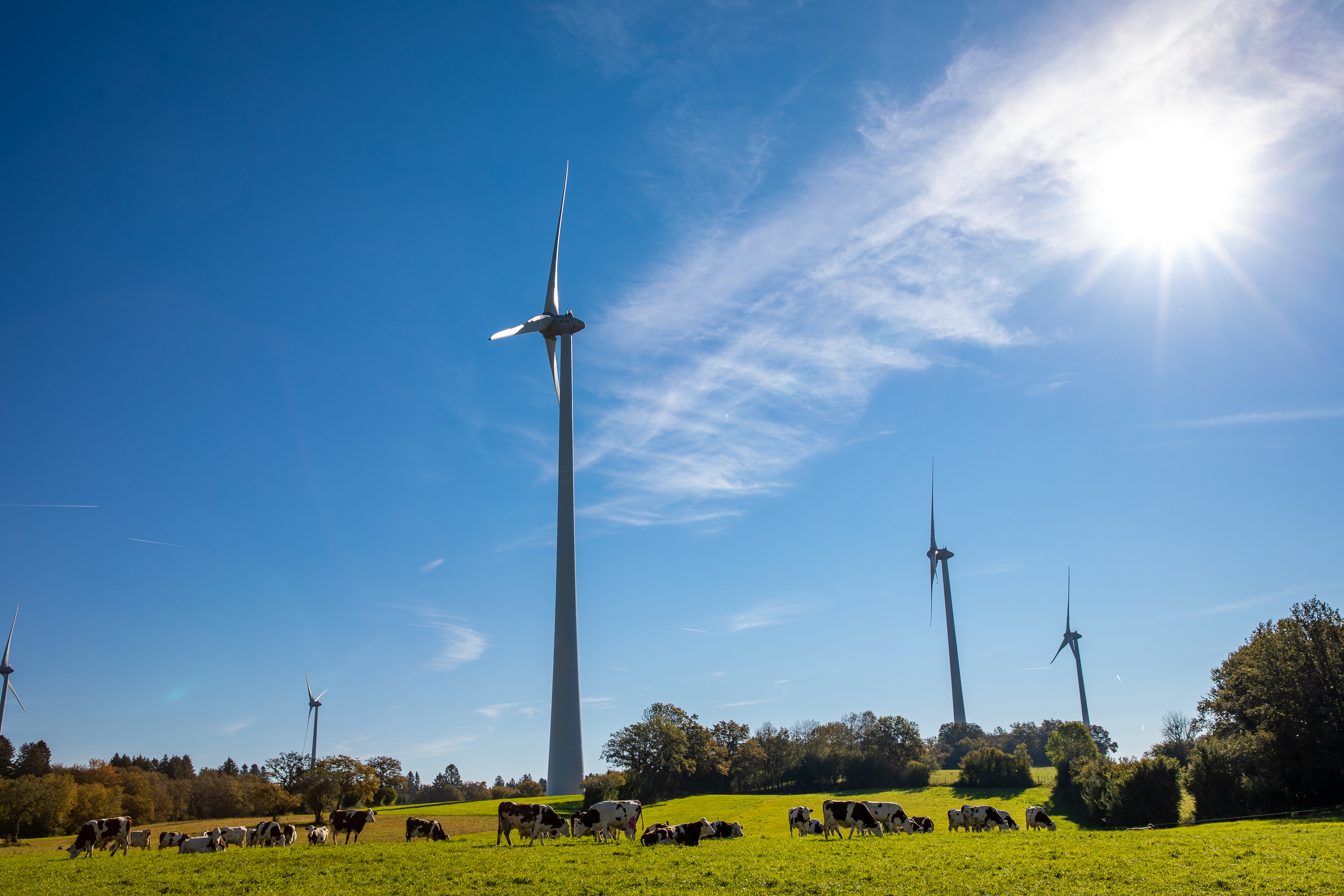 L’éolienne citoyenne de Chamole ouvre ses portes au public