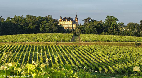 Les châteaux de Sauternes et Barsac ouvrent leurs portes