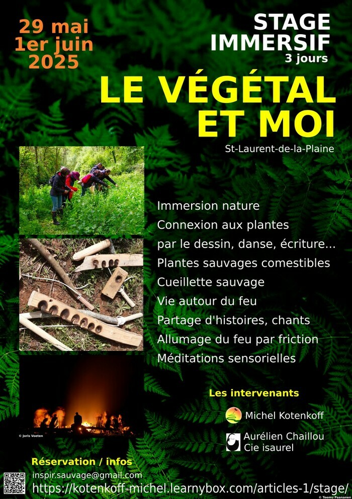 Stage immersion nature: Le Végétal et Moi Du 29 mai au 1 juin 2025