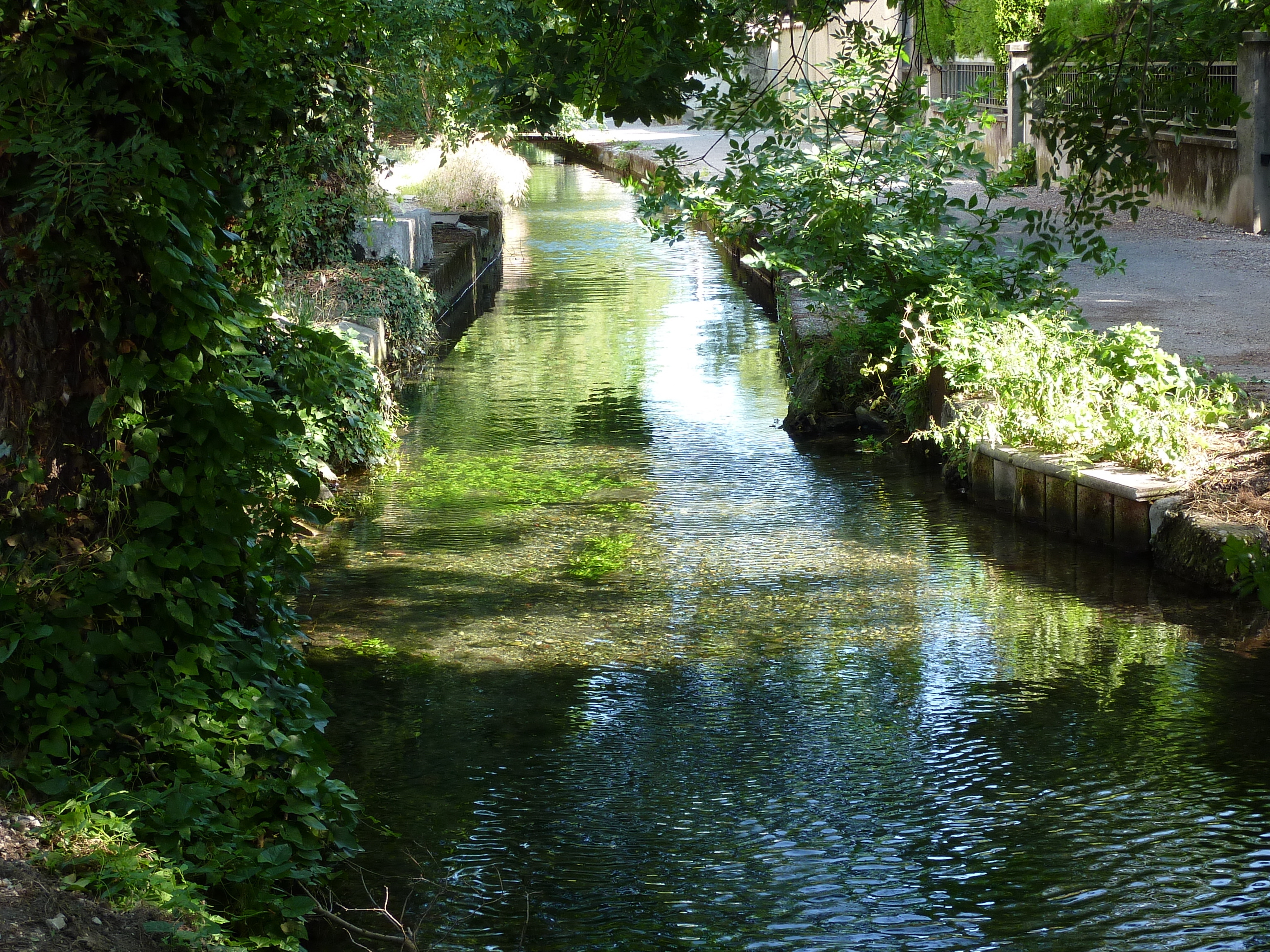 Visites commentées des canaux et zones humides de Valence