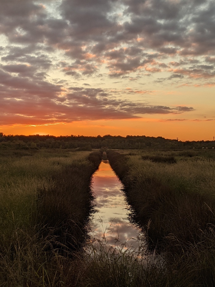 Nature et coups de crayons : le crépuscule au marais d'Olives