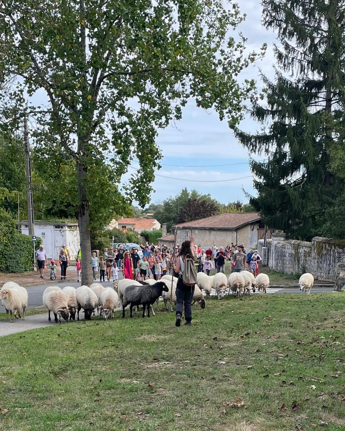 Visuel évènement