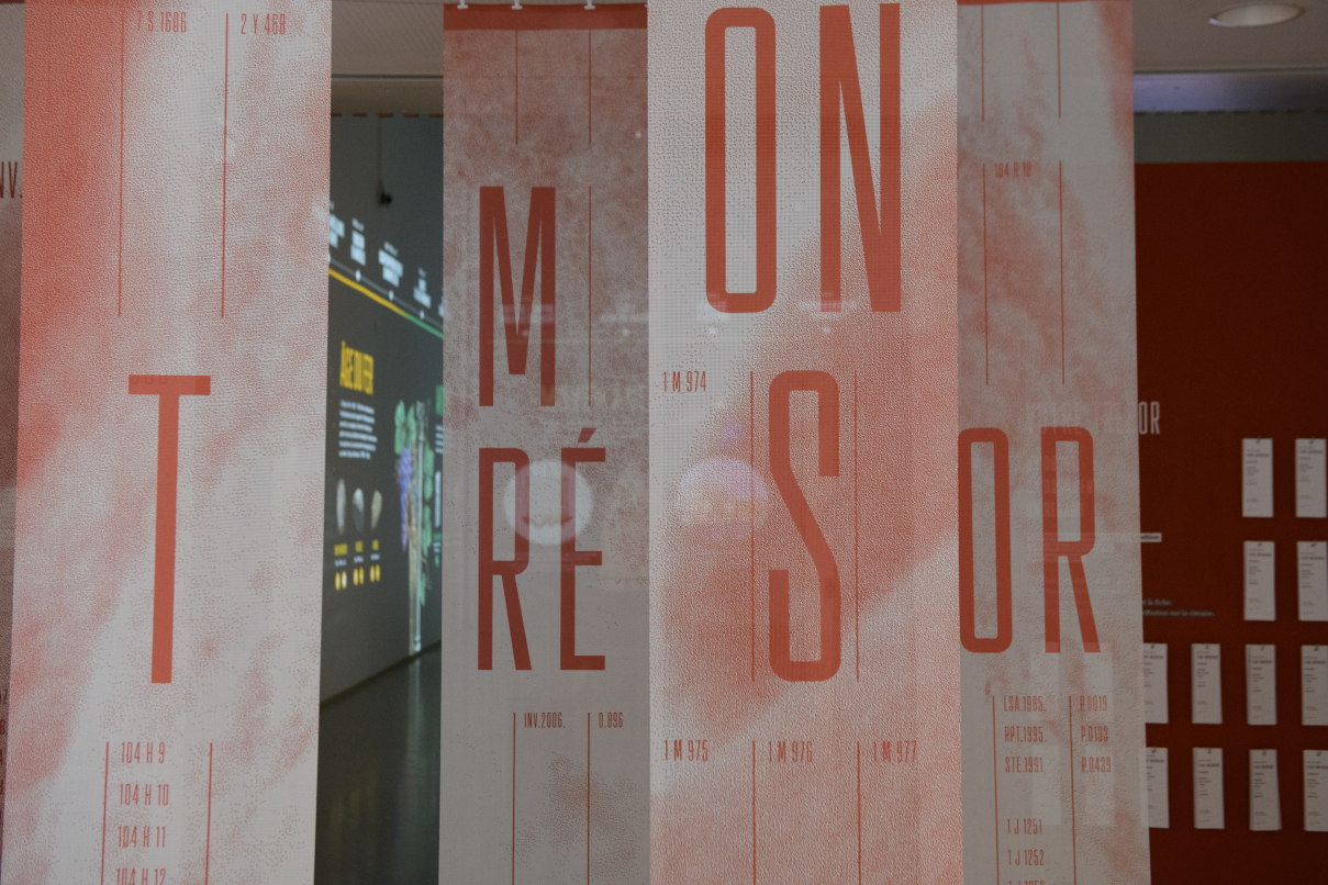"Mon trésor", l'exposition inaugurale de Memento