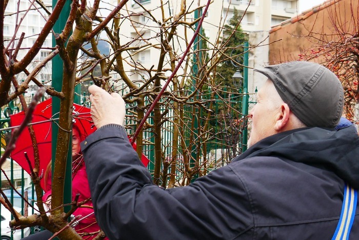 Atelier "Créer un espalier"