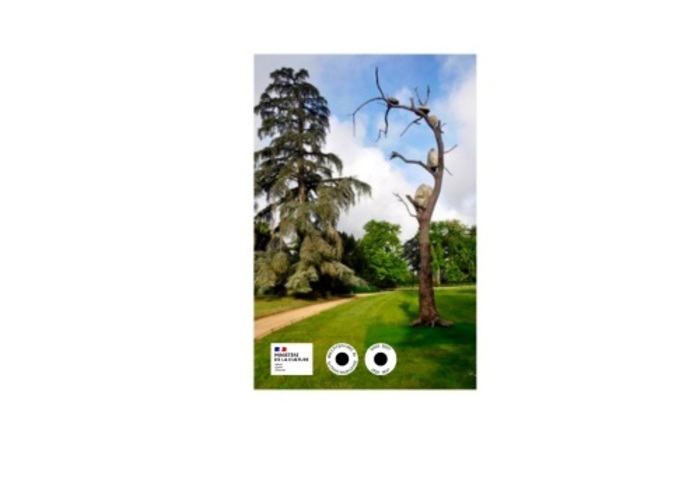 Conférence « ÉTRE ARBRE » EN ART CONTEMPORAIN