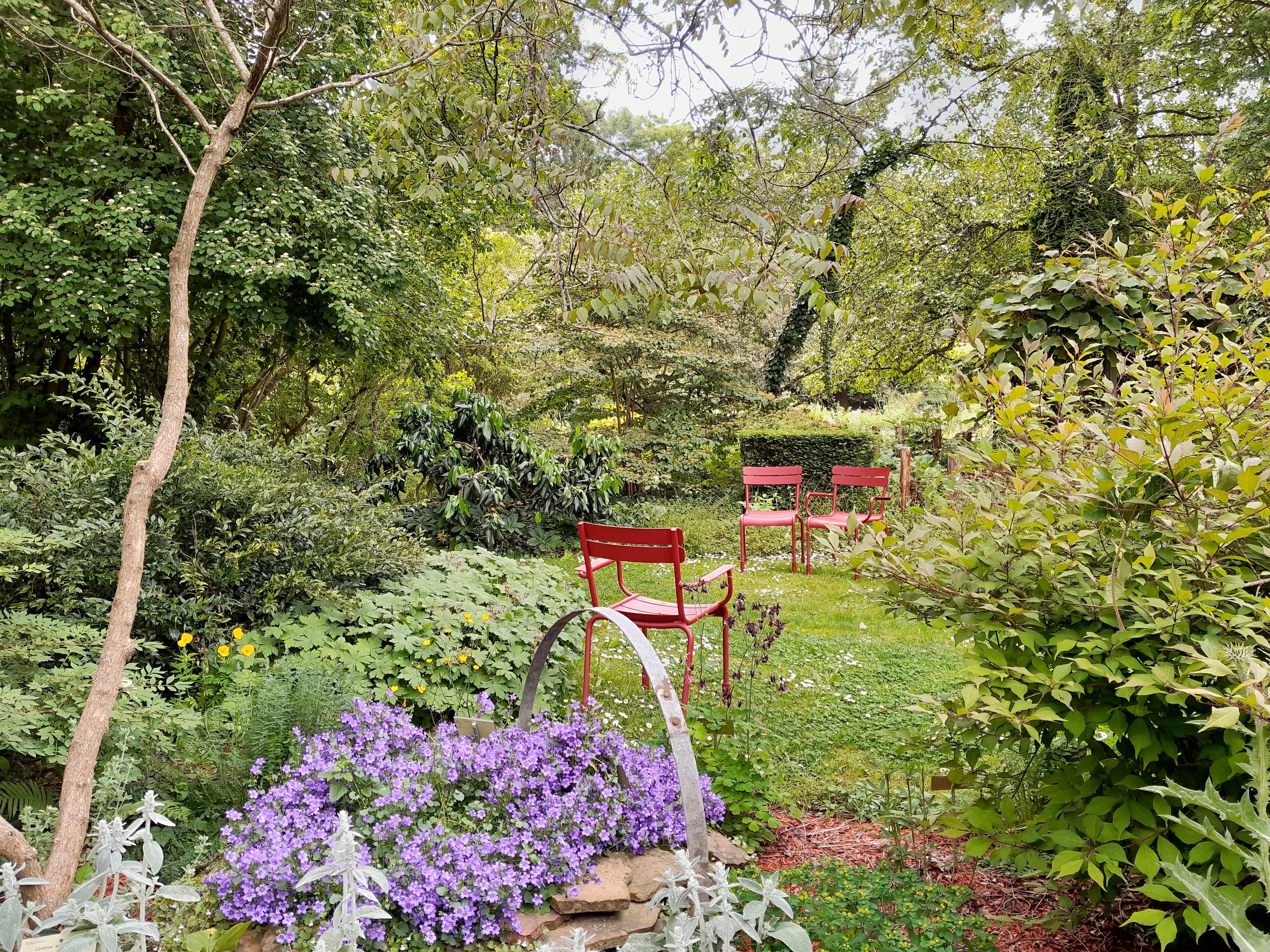 Démonstration : parlez moi de jardin