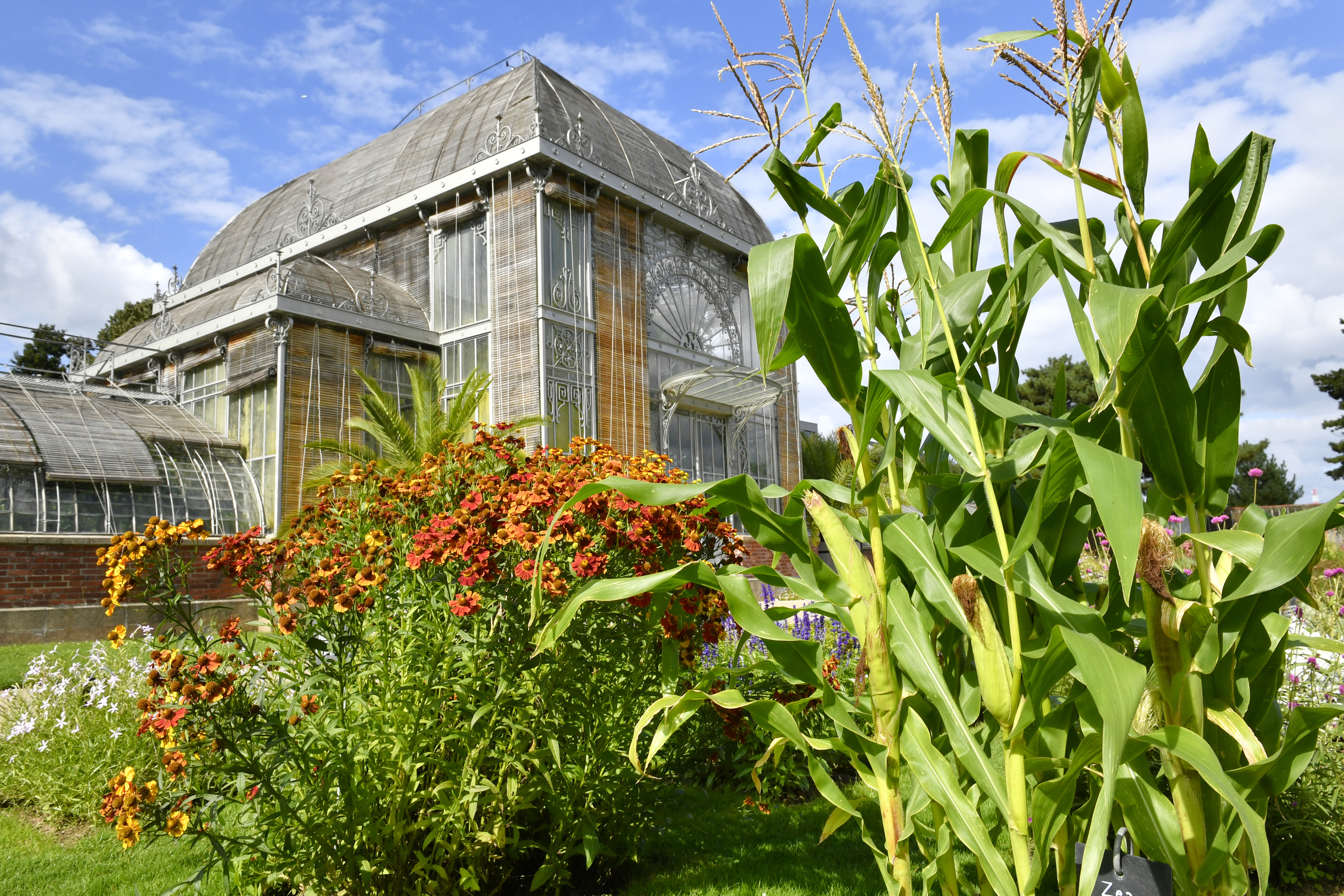 Découverte du Jardin des Plantes