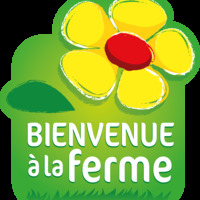 Fête de l'huile d'olive