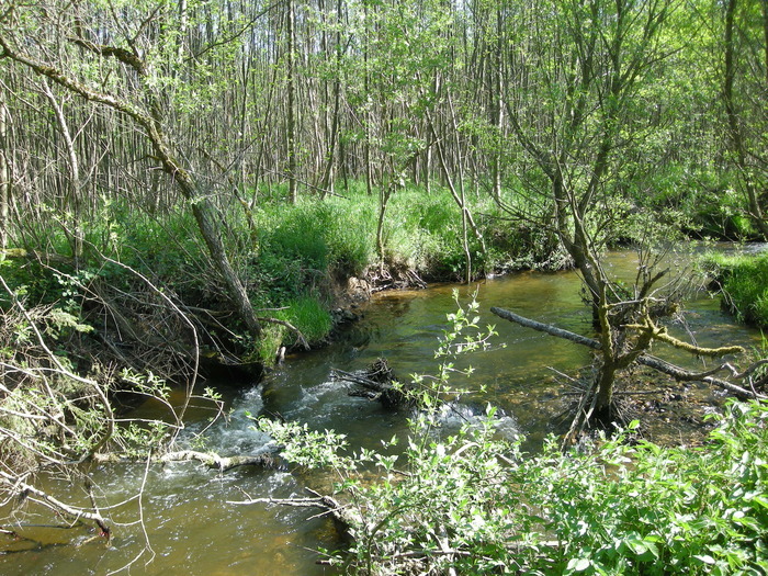 Les Fossottes, entre nature et patrimoine