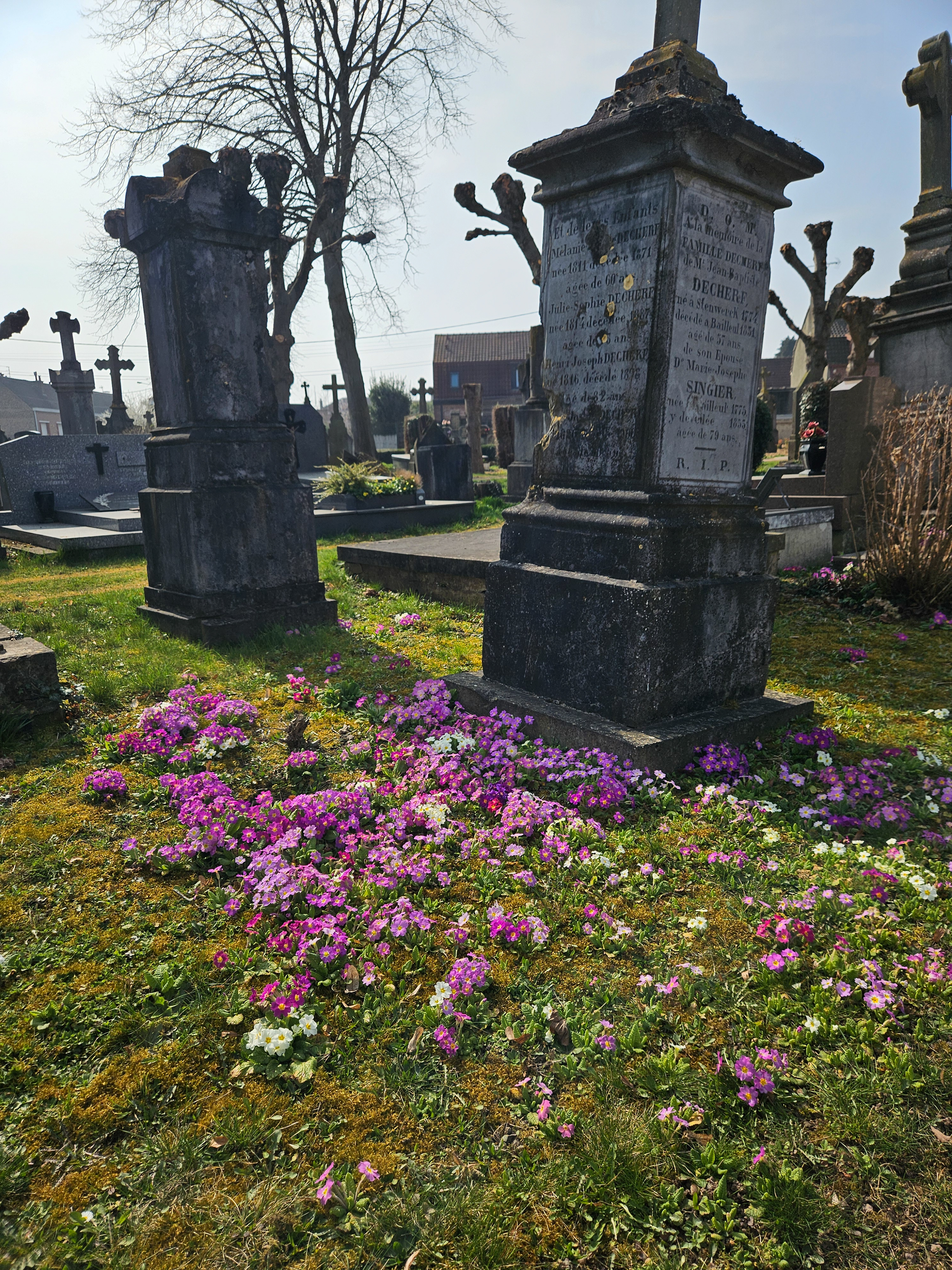 Visite libre de l'exceptionnel cimetière communal