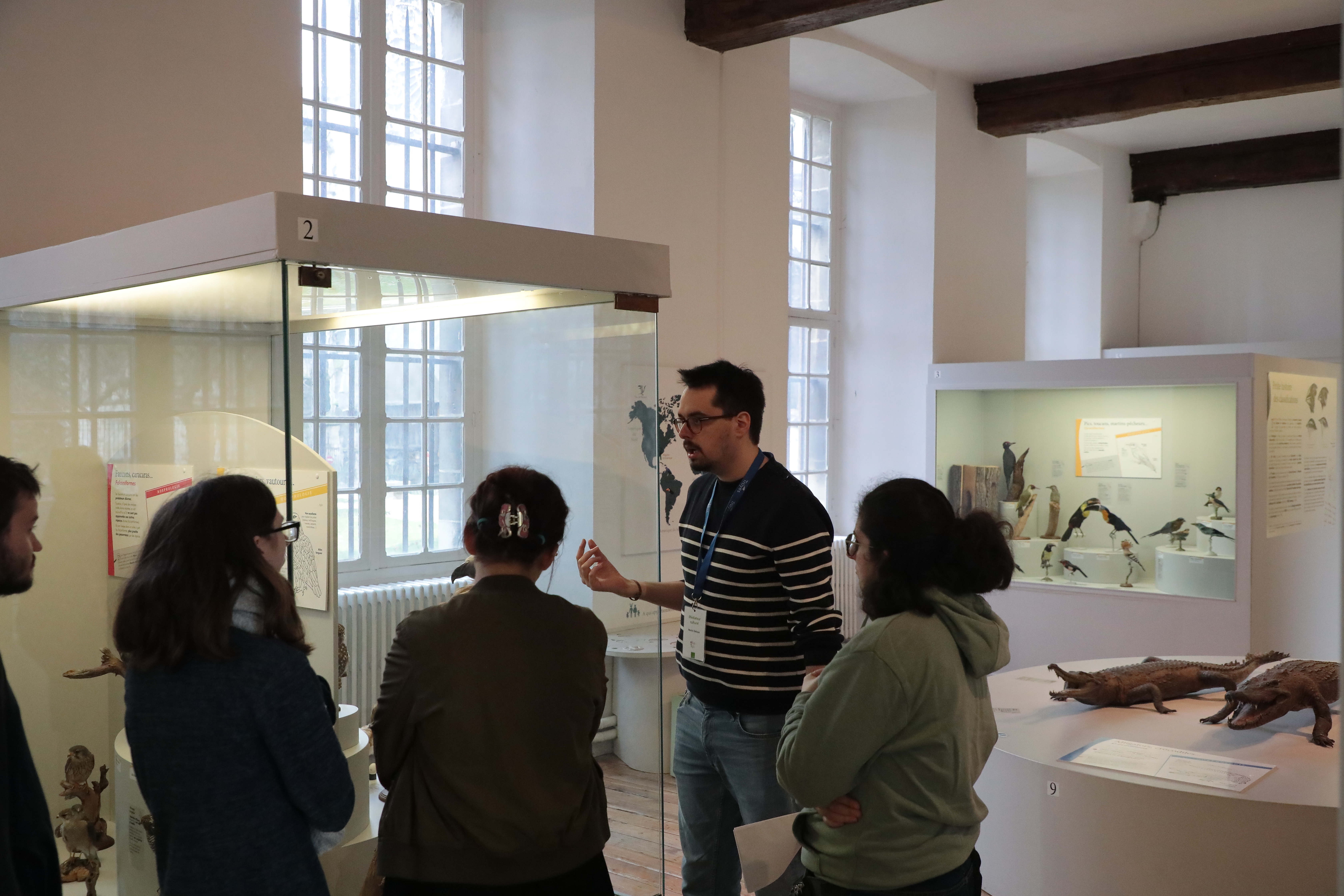 Médiations flash: Les espèces en danger du muséum