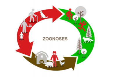 Réunion d'information "les zoonoses"