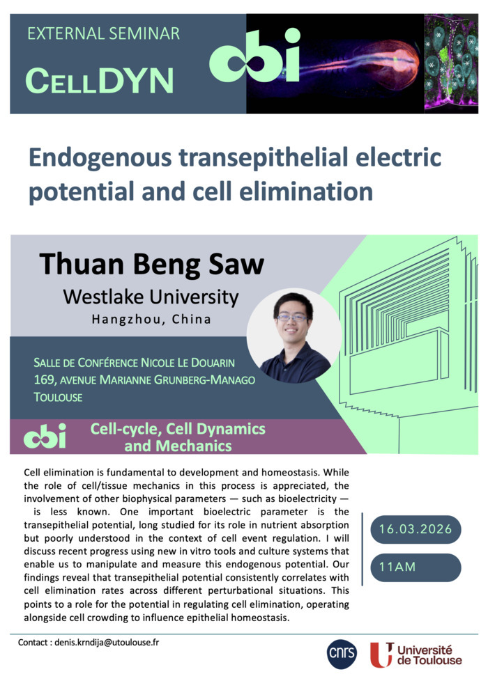 Thuan Beng Saw - Endogenous transepithelial electric potential and cell elimination