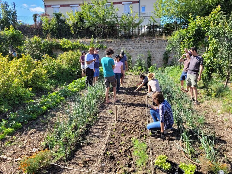 Initiation à la permaculture