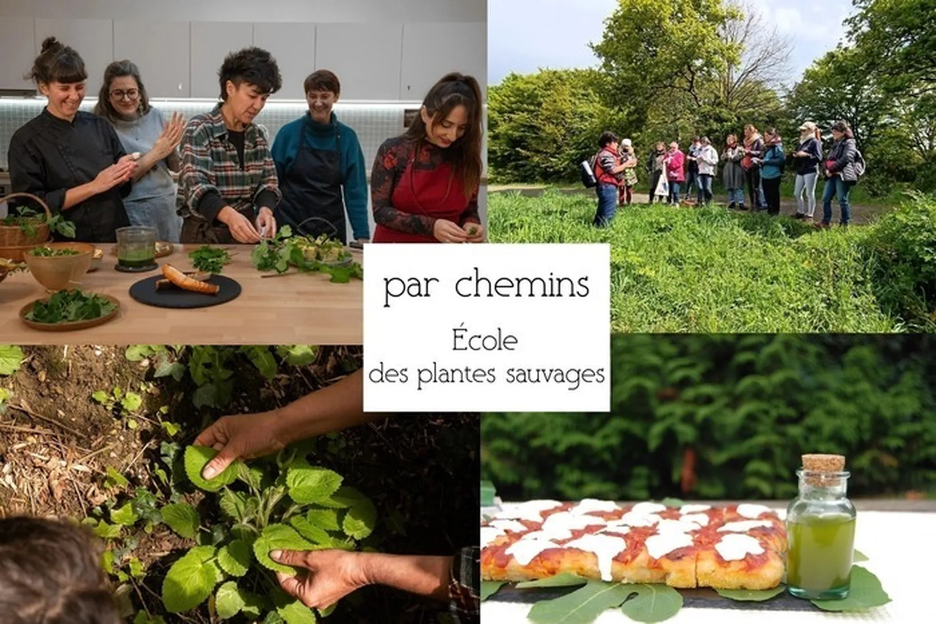 Journée immersive : Gastronomie des plantes sauvages comestibles