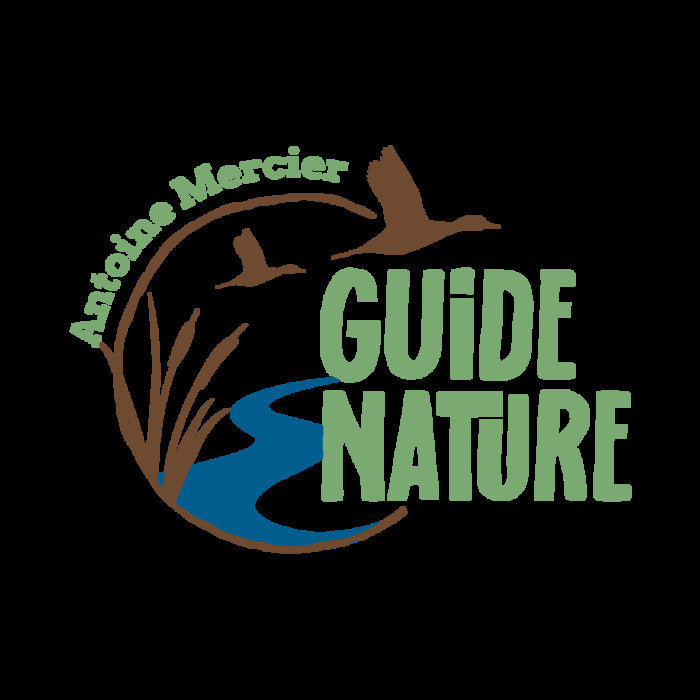 Comment devenir guide nature indépendant ?