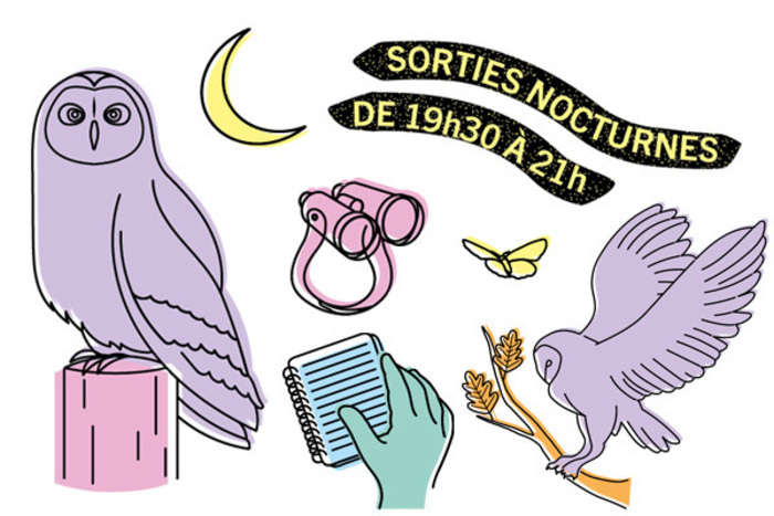 Eveillez vos sens à la magie de la nuit ! Venez écouter les cris mystérieux, observez les ombres furtives, laissez vous porter par l'ambiance unique de la nature la nuit !