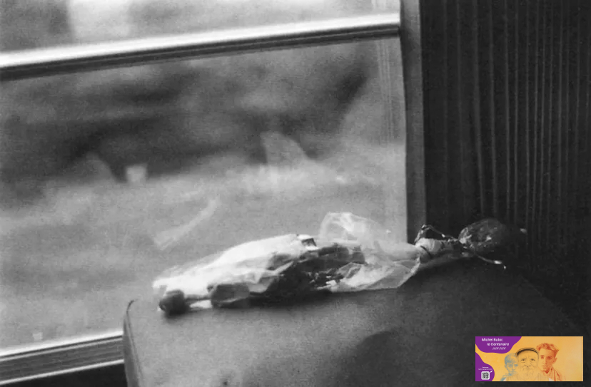 Exposition « Paris-Londres-Paris », Bernard Plossu, Michel Butor
