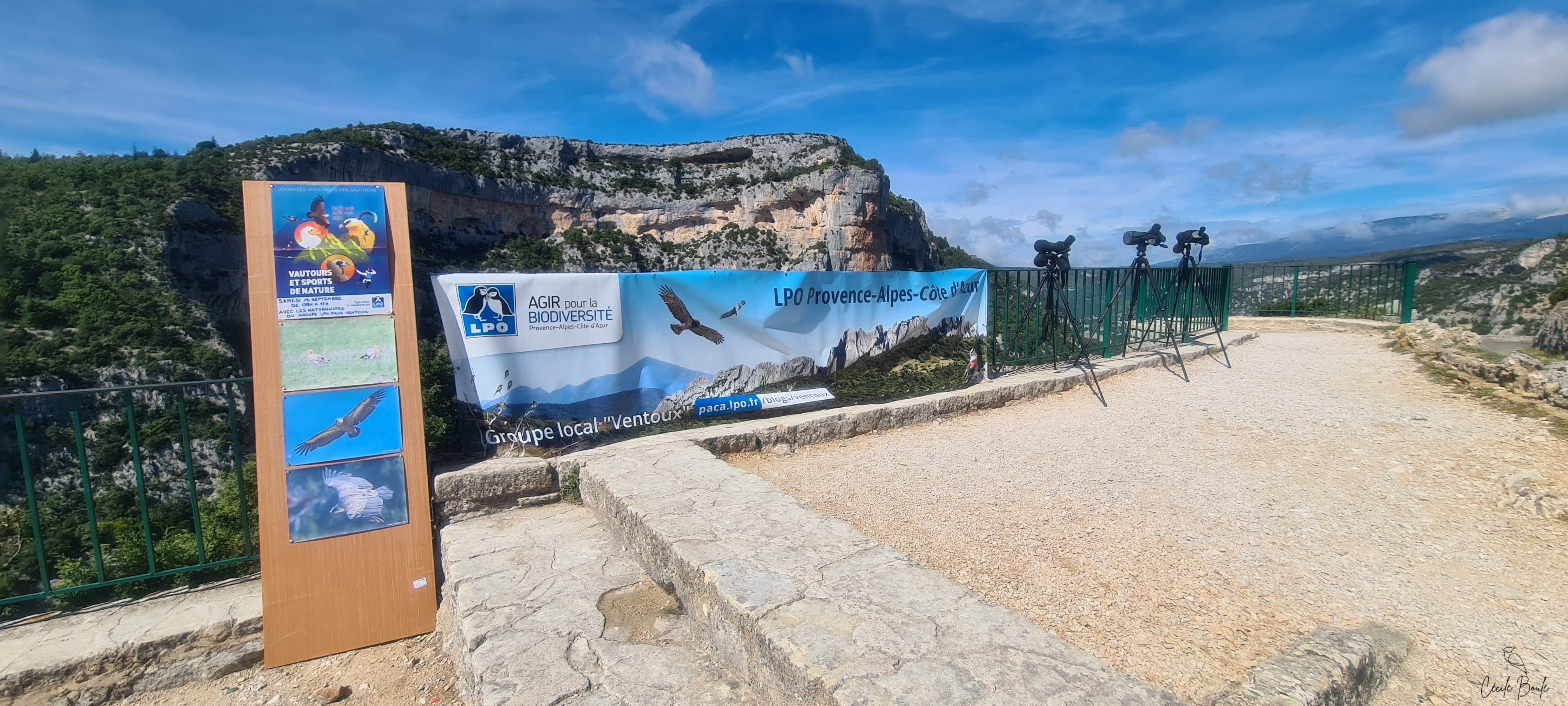 Journée mondiale des Vautours avec les naturalistes du groupe LPO PACA Ventoux - Samedi 12 septembre 2026