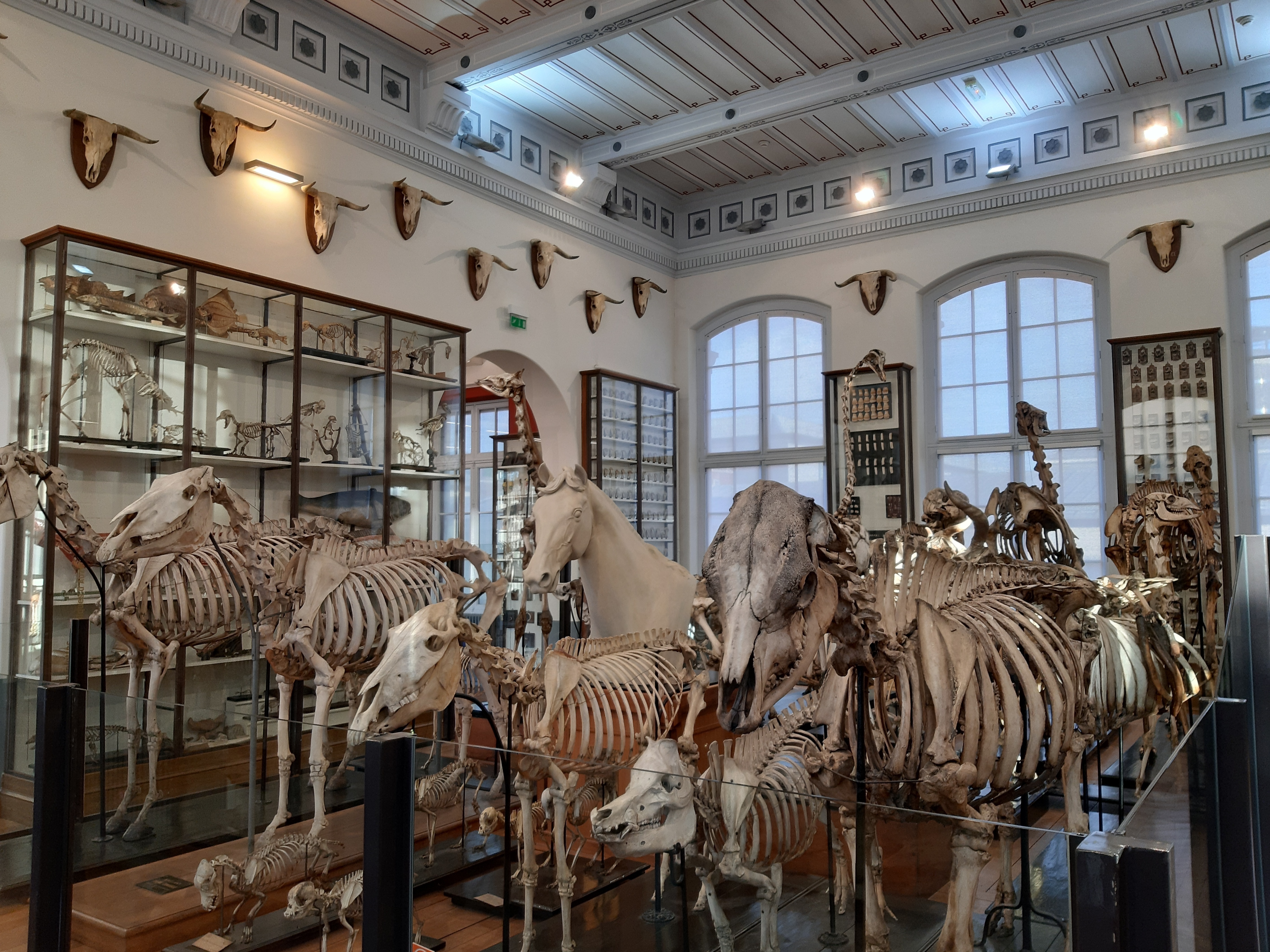Visite du musée Fragonard