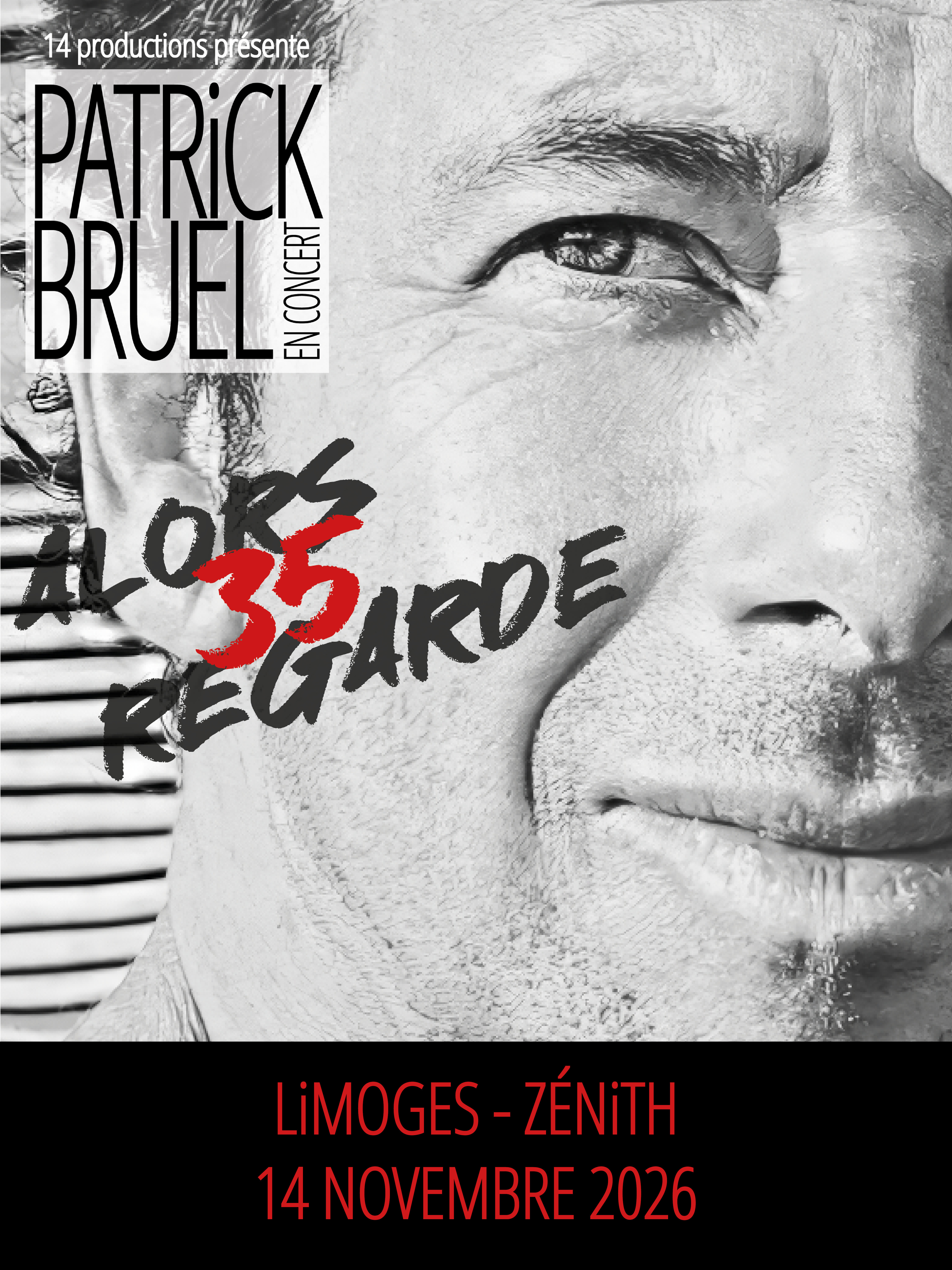 Patrick Bruel en concert au Zénith de Limoges