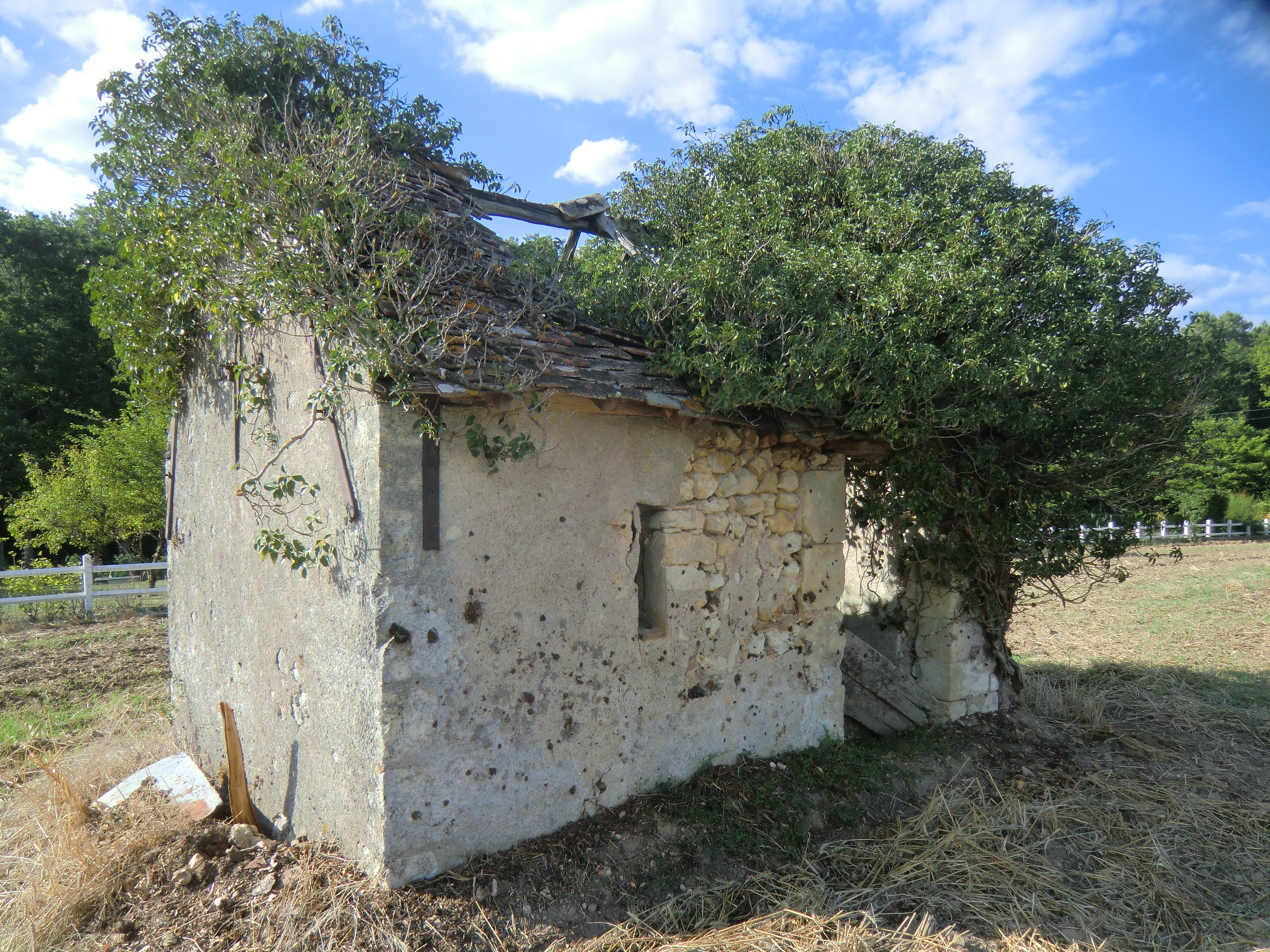 A la découverte des dernières loges de vigne à Nouzilly