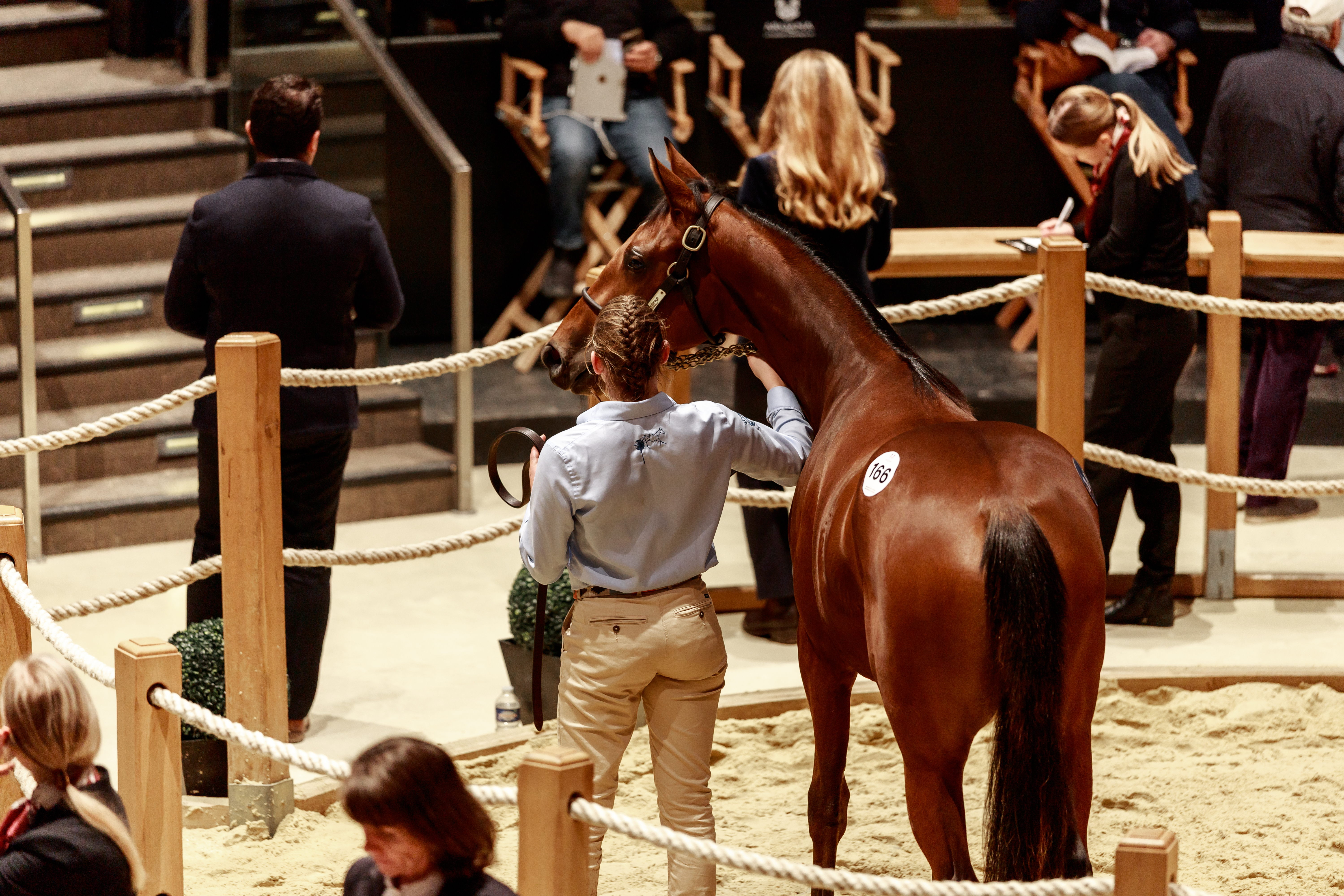 Visite guidée des ventes de yearlings d'octobre d'Arqana