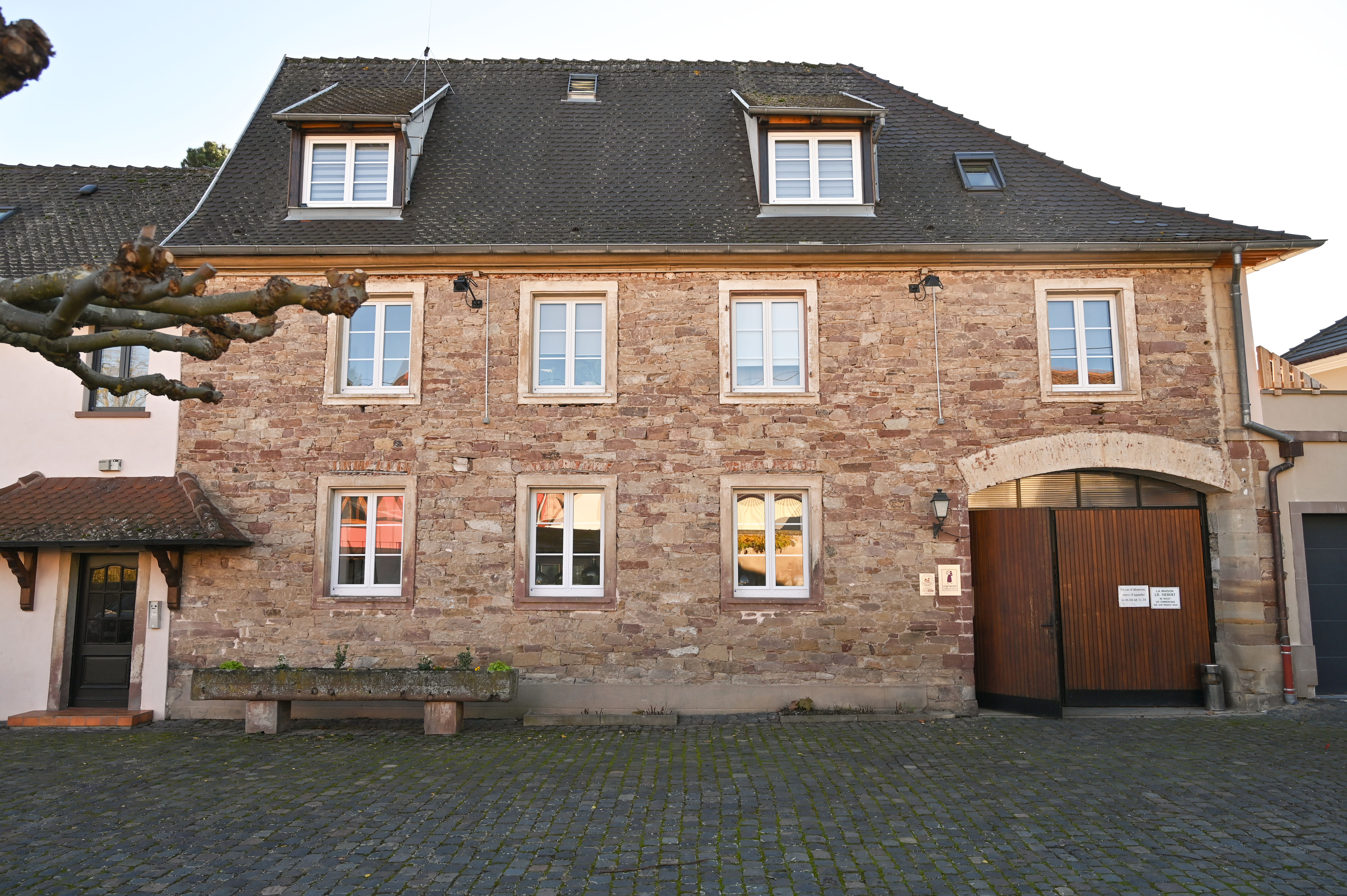 Visite guidée au Domaine Siebert