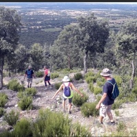 Randonnée "Flore des Albères"